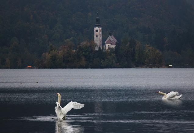 Apartment Villa Vltava Bled Kültér fotó